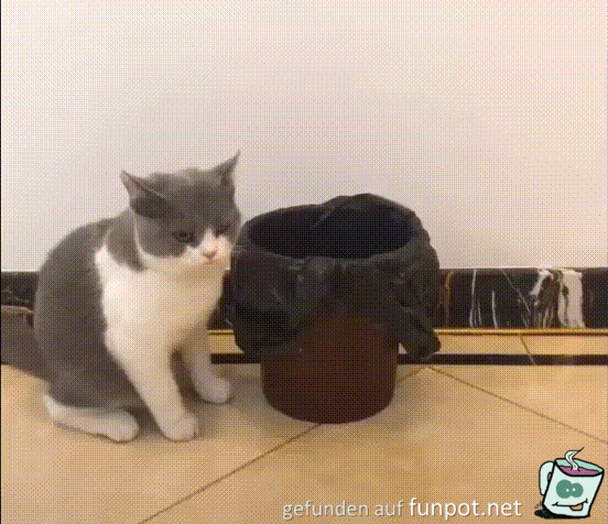 Oh, ein leerer Eimer Oh, ein leerer Eimer
