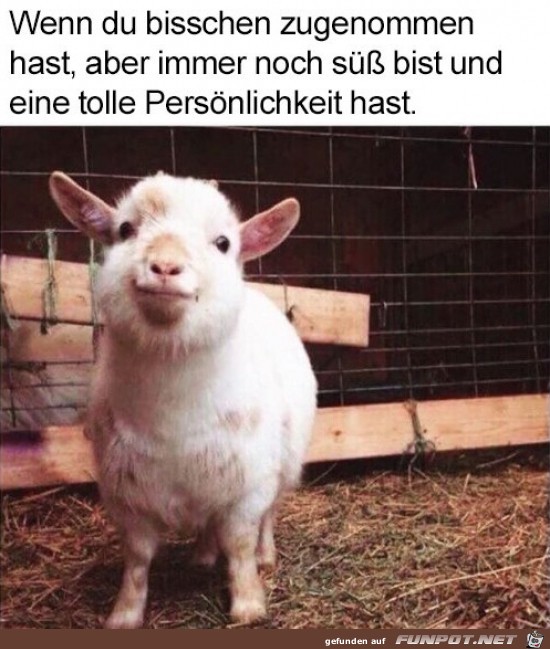 Immer noch süß Immer noch süß