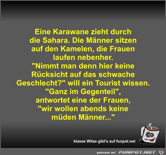 Eine Karawane zieht durch die Sahara