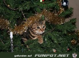 Hier ist es schön Hier ist es schön