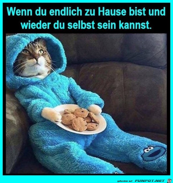Endlich wieder Zuhause Endlich wieder Zuhause