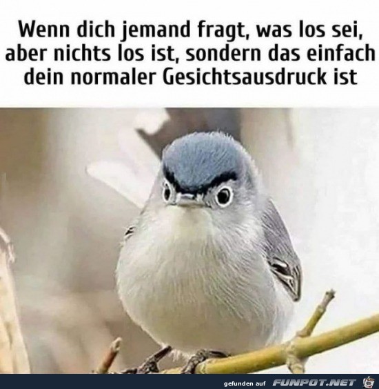Mein Gesicht Mein Gesicht