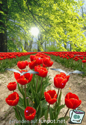 Garten 3 Garten 3