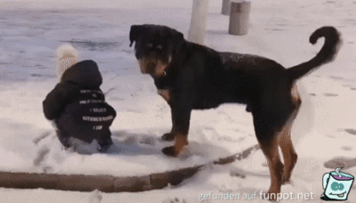 Bodyguard Bodyguard