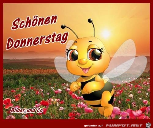 Schoenen Donnerstag Schoenen Donnerstag