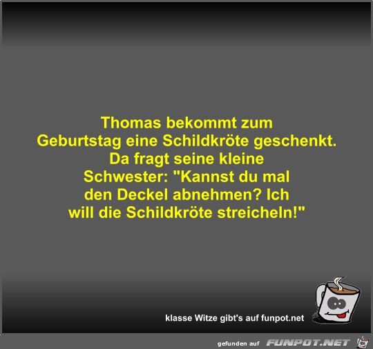 Thomas bekommt zum Geburtstag eine Schildkrte geschenkt