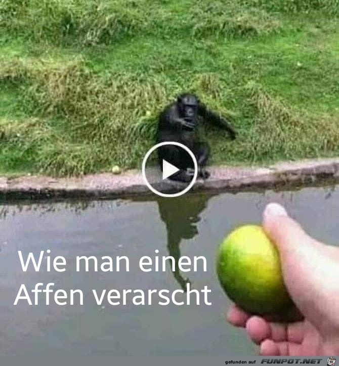 Affenverarsche