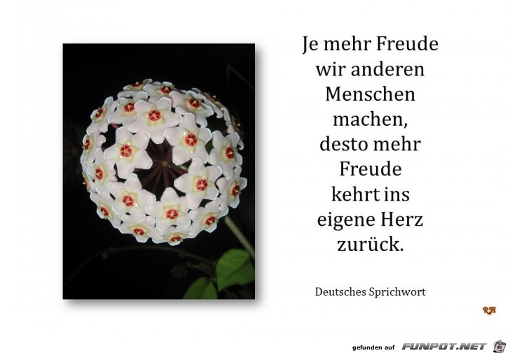 je mehr Freude je mehr Freude