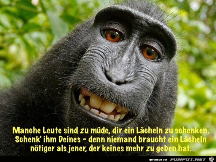 Manche Leute sind zu muede Manche Leute sind zu muede