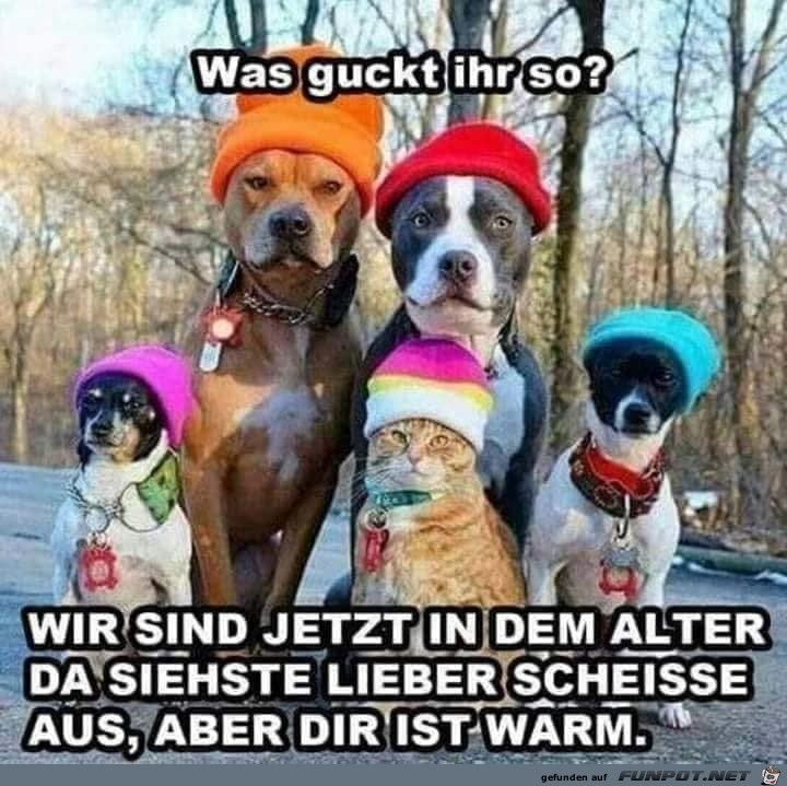 Was guckst du Was guckst du