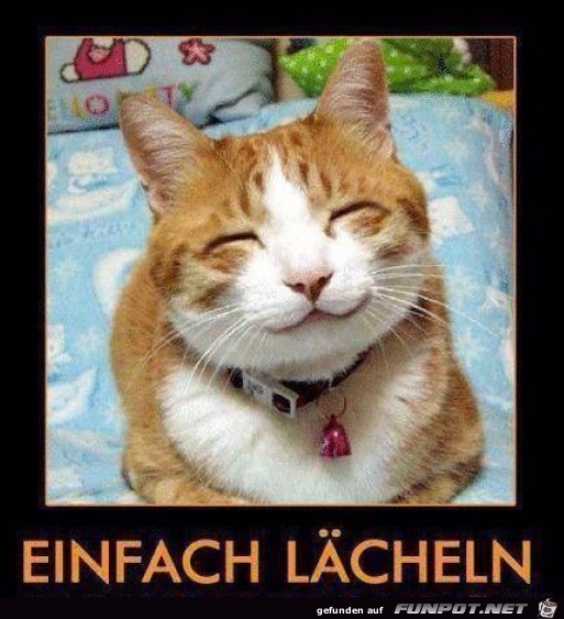 Lächeln Lächeln