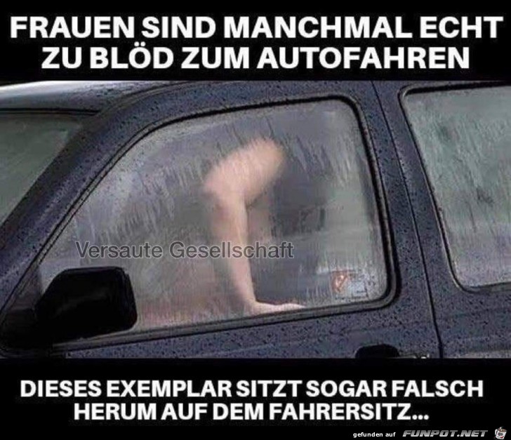 zu bloed zu bloed