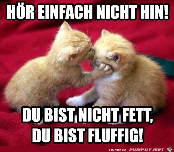 Hoer einfach nicht hin Hoer einfach nicht hin
