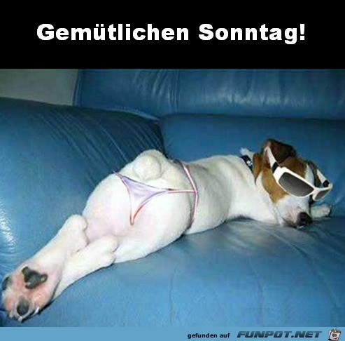Sonntag Sonntag