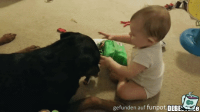 Wie lieb