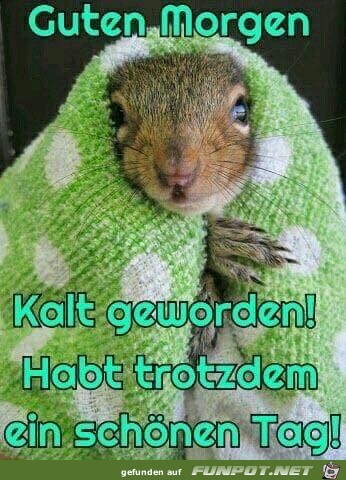 Guten Morgen Guten Morgen