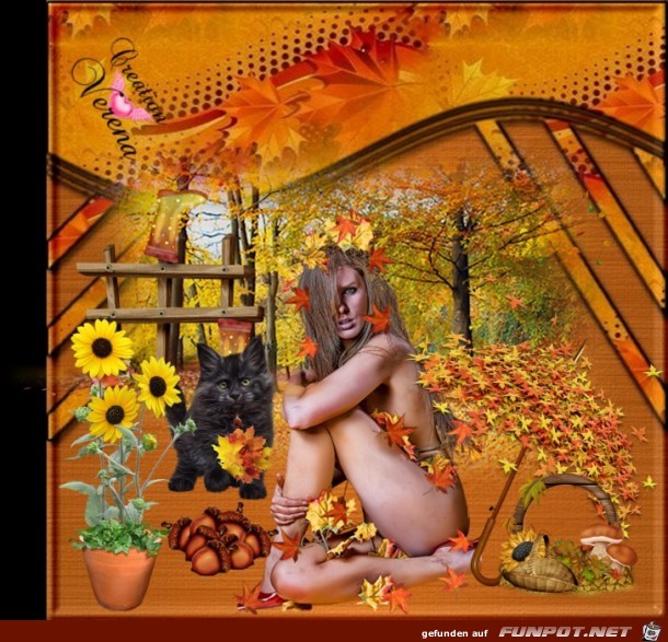 Herbstlich Herbstlich