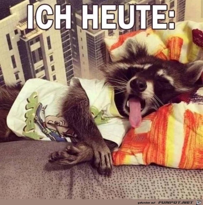 Ziemlich fertig Ziemlich fertig