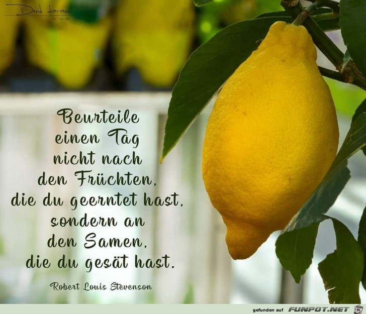 Beurteile einen Tag nicht Beurteile einen Tag nicht