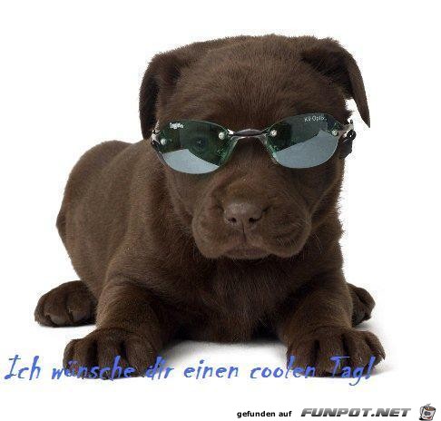 Einen coolen Tag Einen coolen Tag