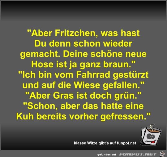 Aber Fritzchen, was hast Du denn schon wieder gemacht