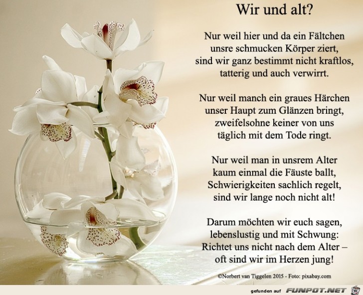 wir und alt 2019