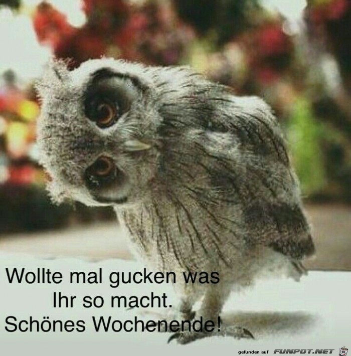 Schönes WE Schönes WE