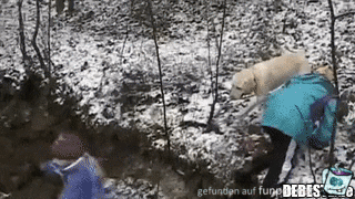 großer Sprung großer Sprung