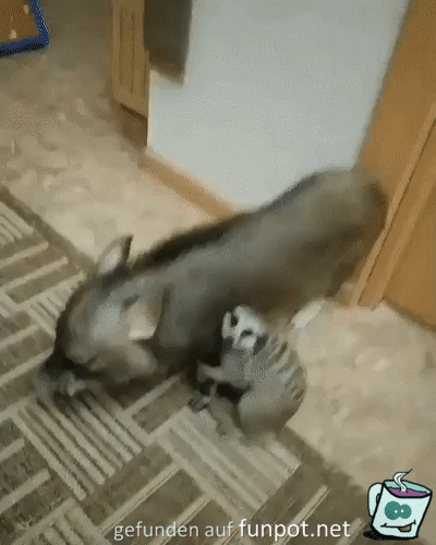 Tierliebe Tierliebe