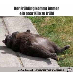 Frühling