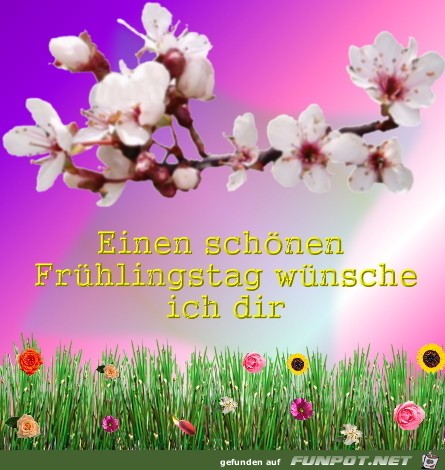 Schoenen Fruehlingstag Schoenen Fruehlingstag