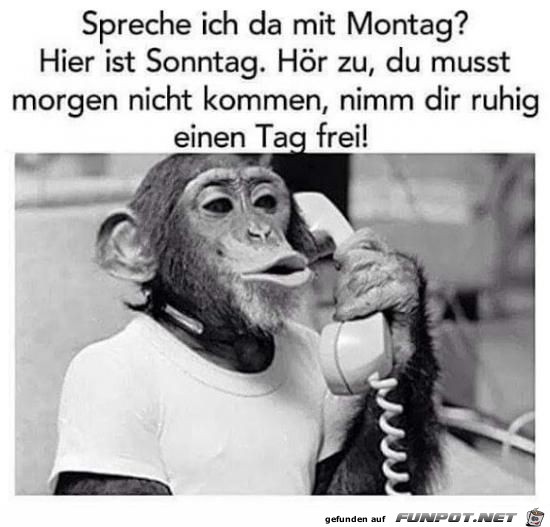 Spreche ich da mit Montag? Spreche ich da mit Montag?
