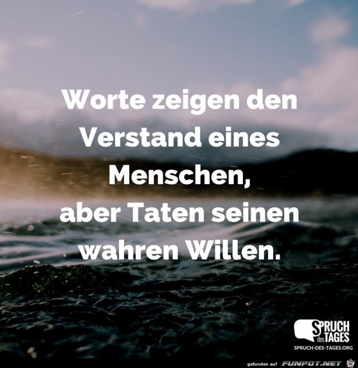 worte zeigen den verstand worte zeigen den verstand