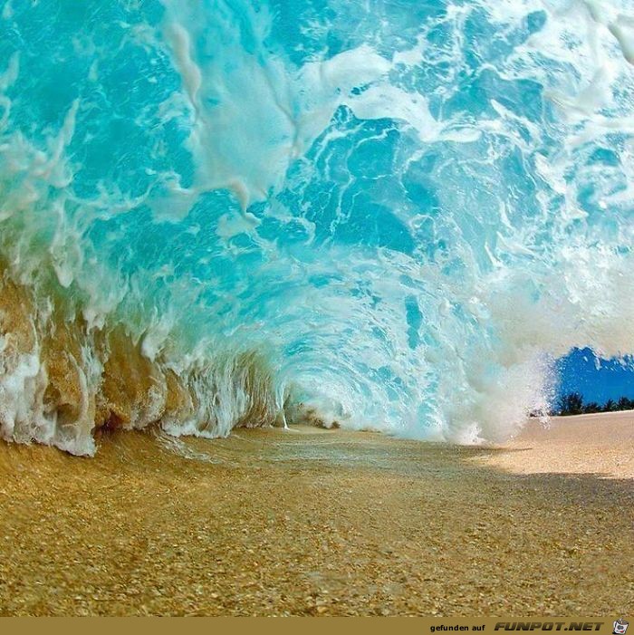 Im Meer