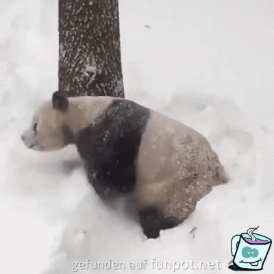 Spaß im Schnee Spaß im Schnee