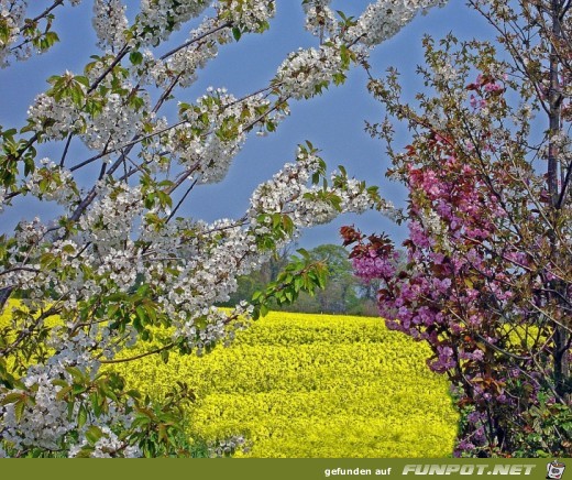 Der Fruehling kommt Der Fruehling kommt
