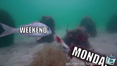 Schon wieder Wochenende vorbei