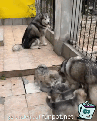 Nette Familie Nette Familie