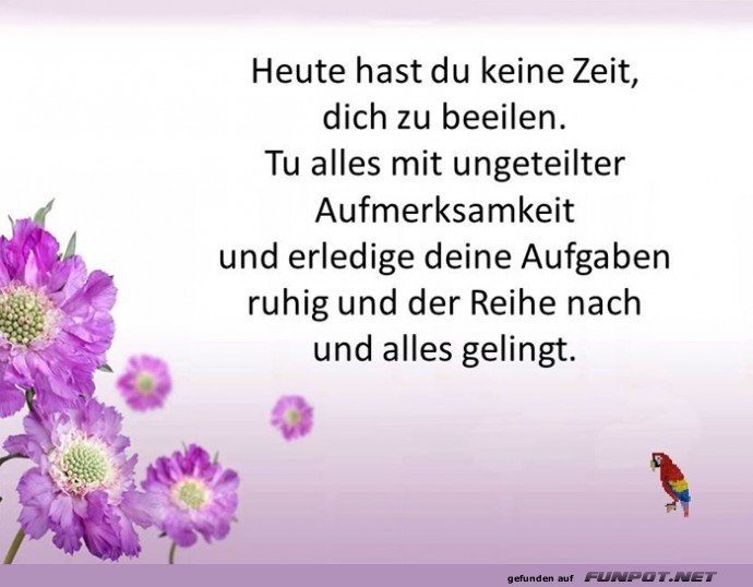 Heute hast du Heute hast du