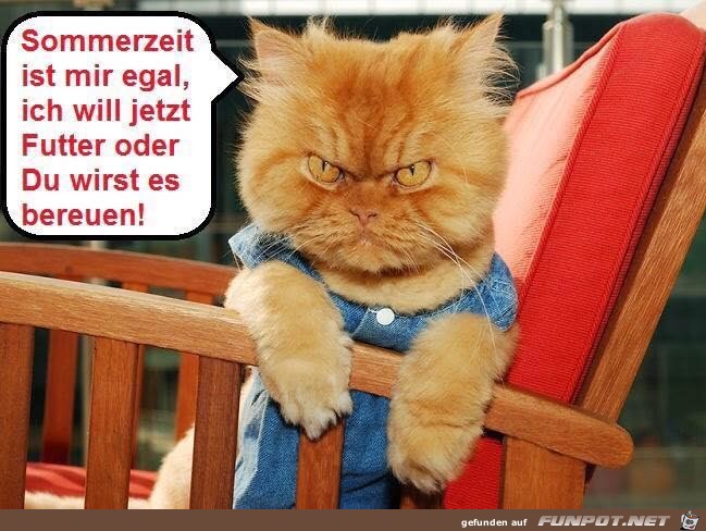 Ich will Futter Ich will Futter