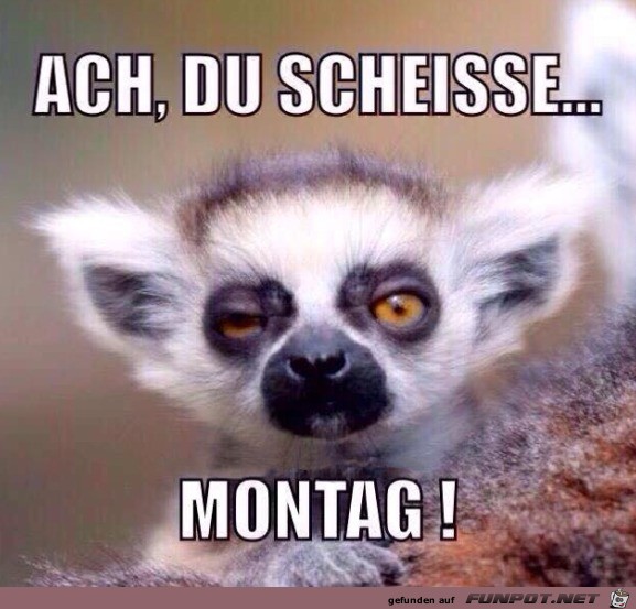Montag Montag