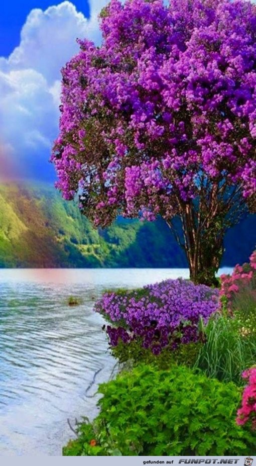 Fruehling am See