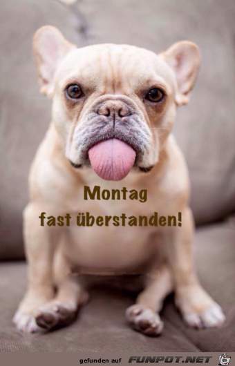Fast überstanden Fast überstanden