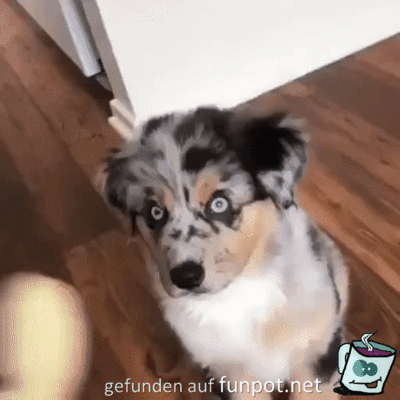 Da trau ich mich nicht ran Da trau ich mich nicht ran