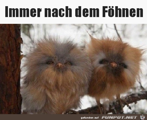 Nach dem Föhnen Nach dem Föhnen