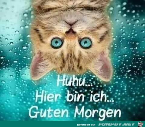 Guten Morgen Guten Morgen