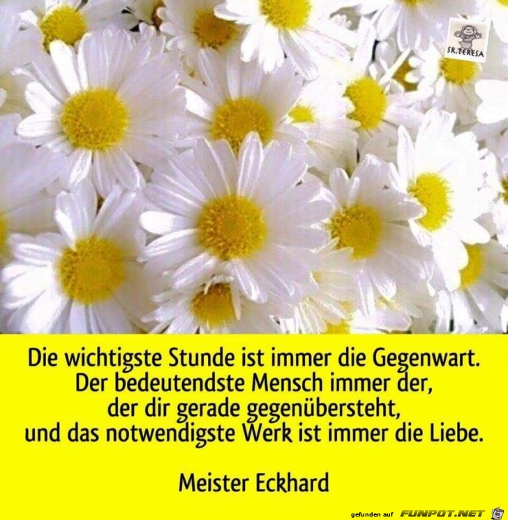 die wichtigste stunde