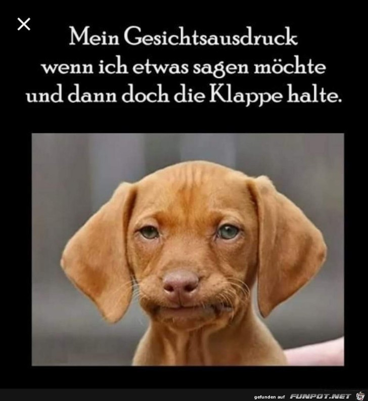 mein Gesichtsausdruck mein Gesichtsausdruck