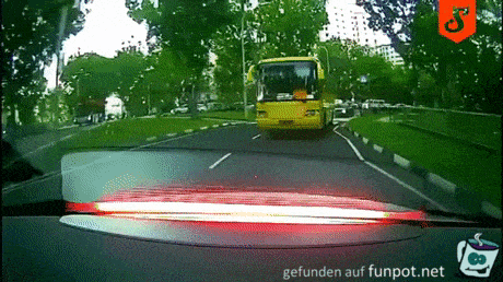 Bus macht Vollbremsung Bus macht Vollbremsung