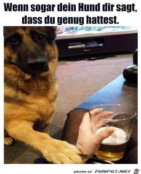 Es reicht Es reicht